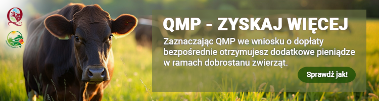 QMP